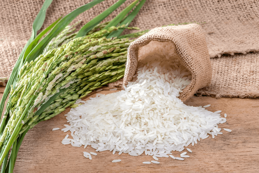 Sack of rice representing the NOVADECI Rice Loan program