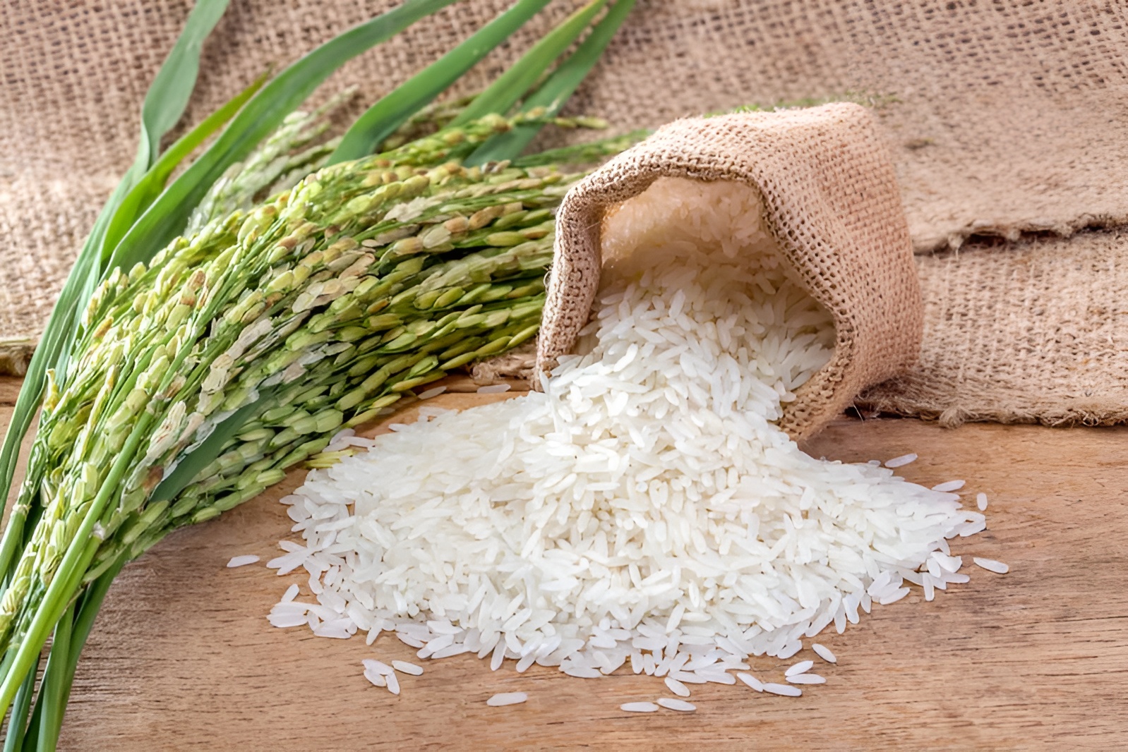 Sack of rice representing the NOVADECI Rice Loan program